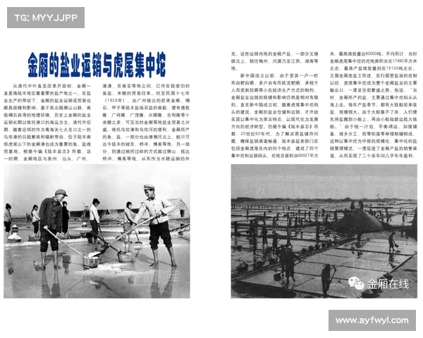 以一金未为中心探讨中国古代文化中的财富观与社会变迁的关系 以一金未为中心探讨中国古代文化中的财富观与社会变迁的关系